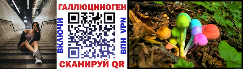кракен как войти  Ликино-Дулёво  Галлюциногенные грибы MAGIC MUSHROOMS 